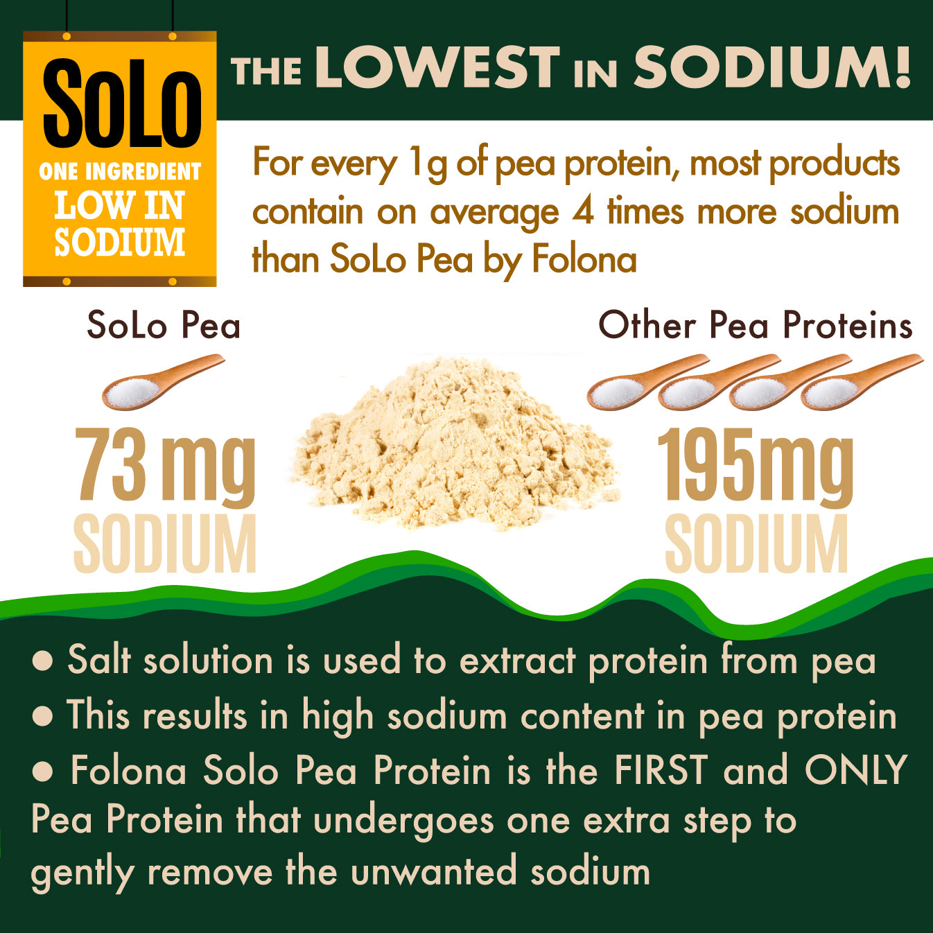 Organic SoLo Pea Protein Powder